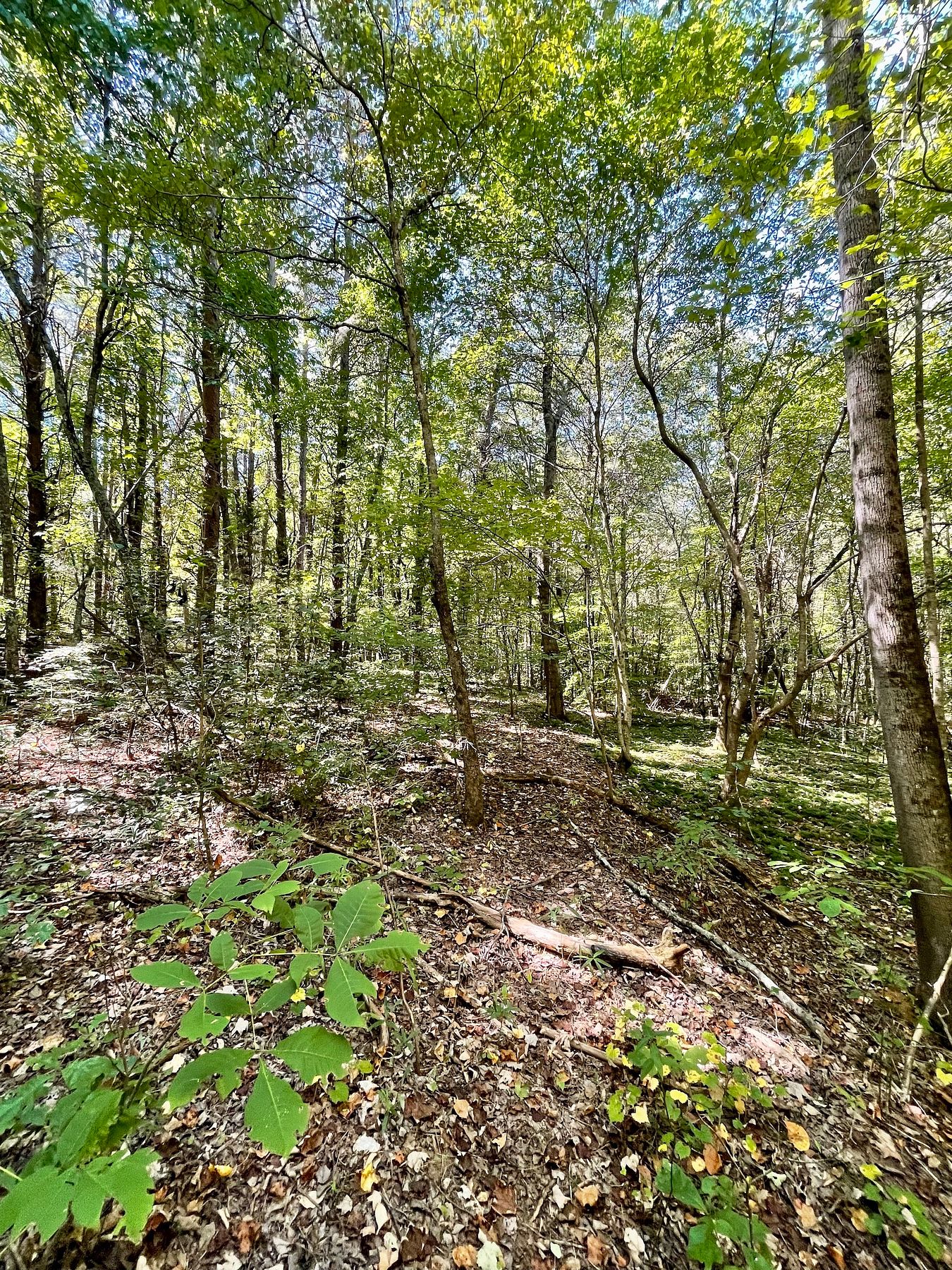 10.6 Acres of Recreational Land for Sale in Blacksburg, South Carolina