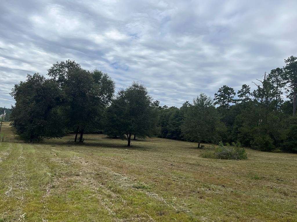 1.7 Acres of Residential Land for Sale in Abbeville, Alabama