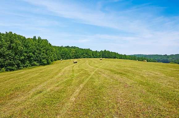 81.3 Acres of Recreational Land for Sale in Dover, Tennessee