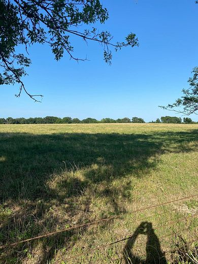 38 Acres of Agricultural Land for Sale in Mexia, Texas