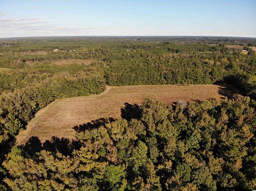 58 Acres of Land for Sale in Loris, South Carolina