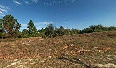 0.25 Acres of Residential Land for Sale in Lehigh Acres, Florida