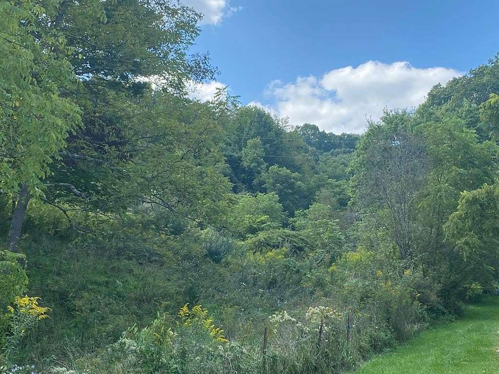 15.4 Acres of Land for Sale in Bluefield, Virginia