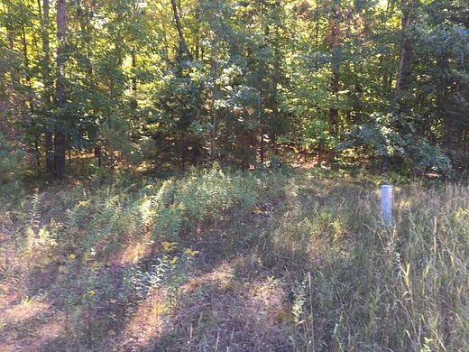 0.5 Acres of Residential Land for Sale in Atlanta, Michigan