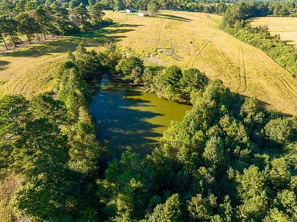 97 Acres of Recreational Land & Farm for Sale in Addison, Alabama