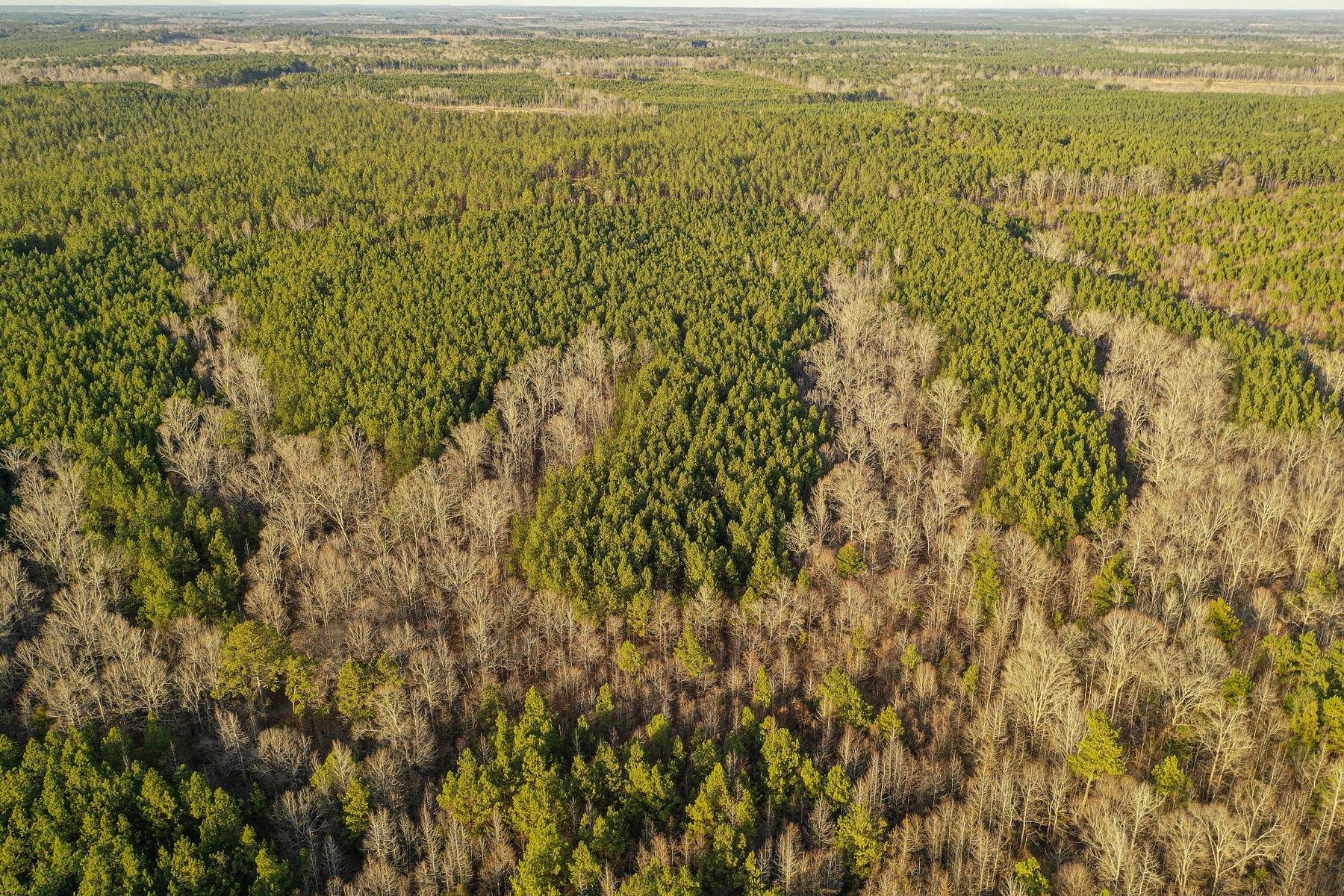 81 Acres of Recreational Land for Sale in Noxapater, Mississippi