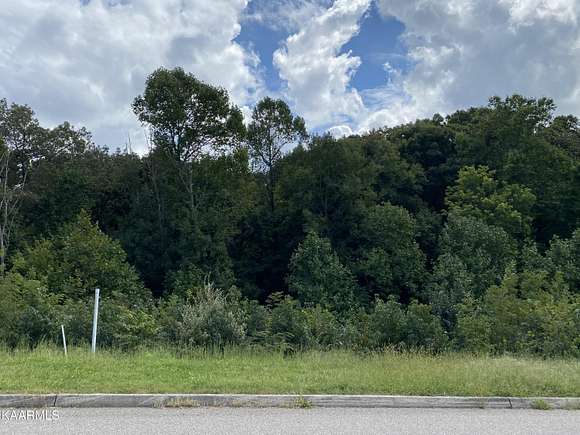 0.01 Acres of Residential Land for Sale in Knoxville, Tennessee