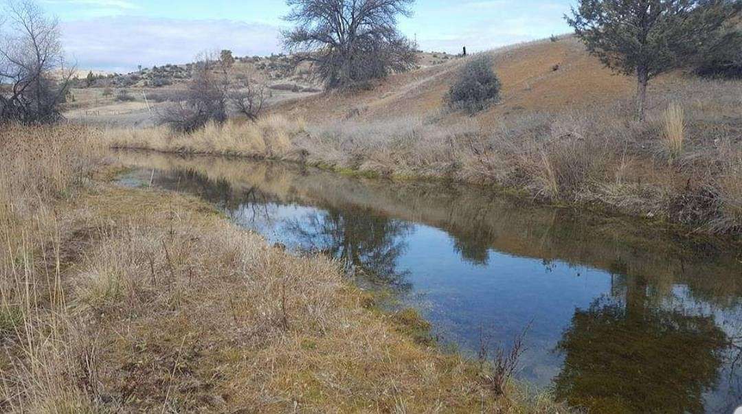 1.2 Acres of Residential Land for Sale in Hornbrook, California