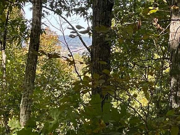 16.5 Acres of Land for Sale in Sevierville, Tennessee