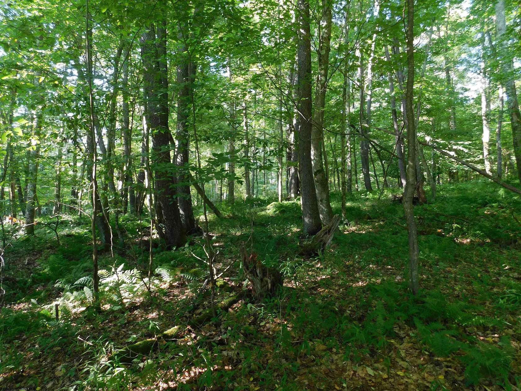 0.83 Acres of Residential Land for Sale in Terra Alta, West Virginia