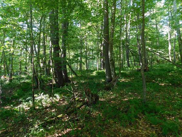 0.83 Acres of Residential Land for Sale in Terra Alta, West Virginia