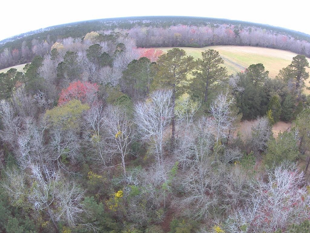 141 Acres of Recreational Land for Sale in Hemingway, South Carolina