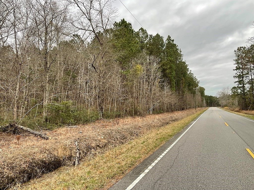 141 Acres of Recreational Land for Sale in Hemingway, South Carolina