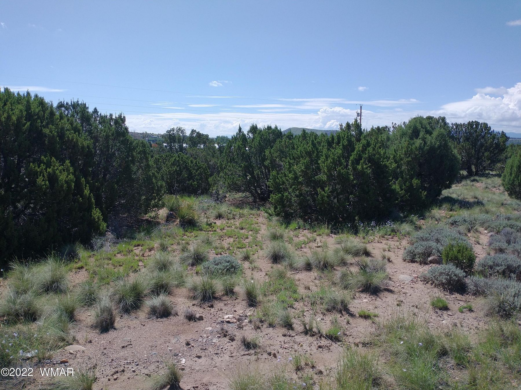 0.34 Acres of Land for Sale in Concho, Arizona