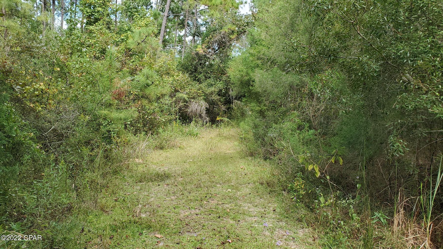 30 Acres of Recreational Land for Sale in Marianna, Florida LandSearch