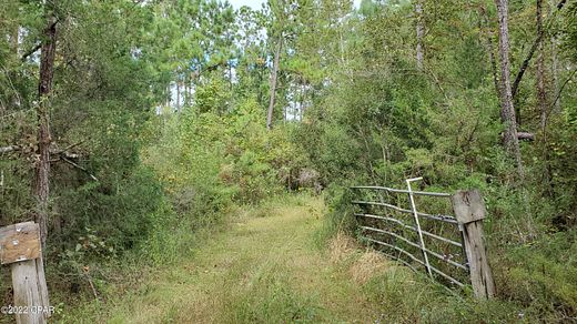 30 Acres of Recreational Land for Sale in Marianna, Florida