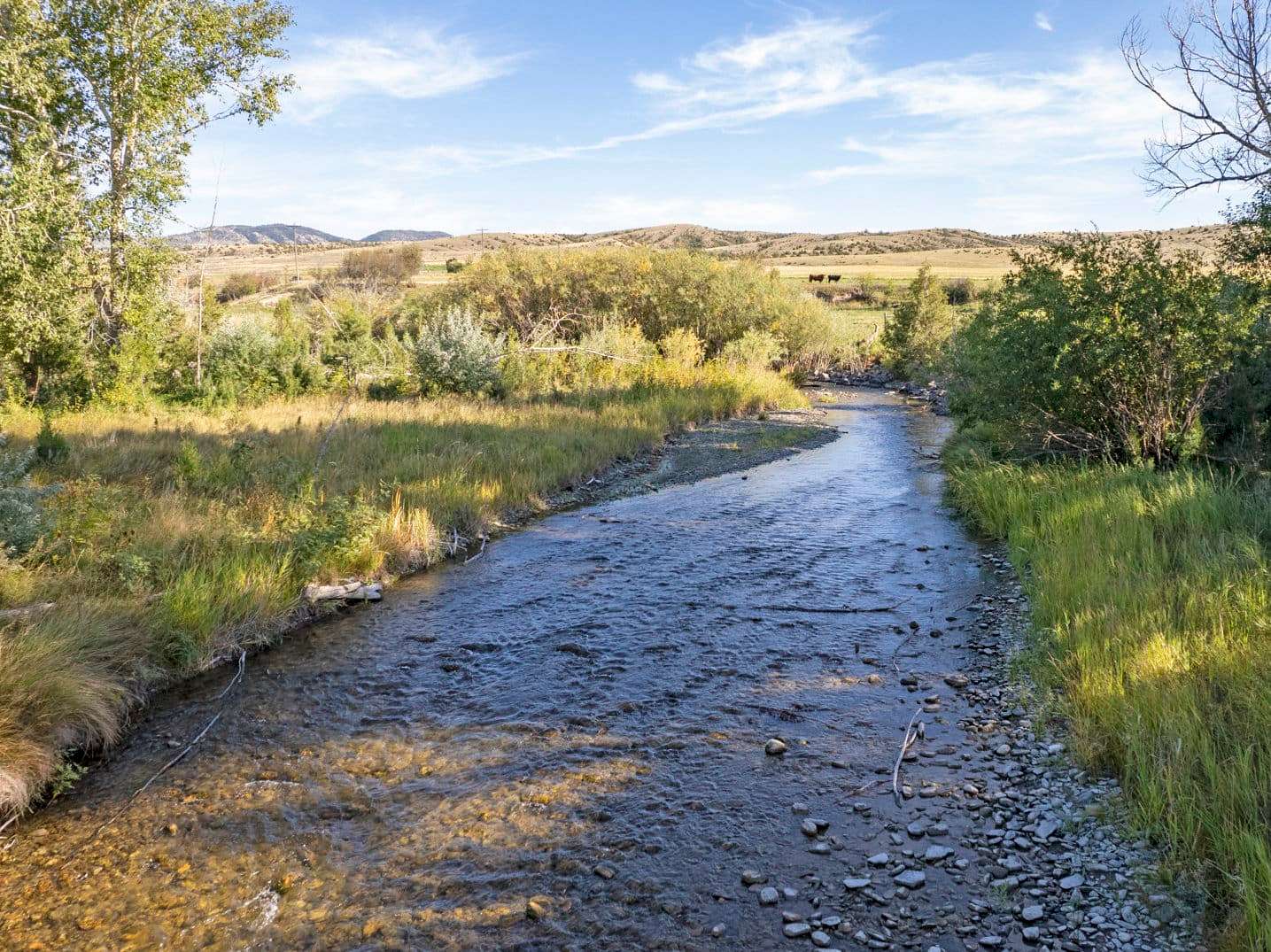 968 Acres of Land for Sale in Townsend, Montana