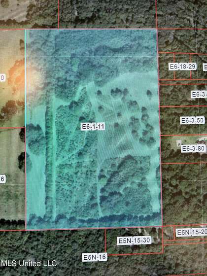 26.6 Acres of Recreational Land for Sale in Richland, Mississippi