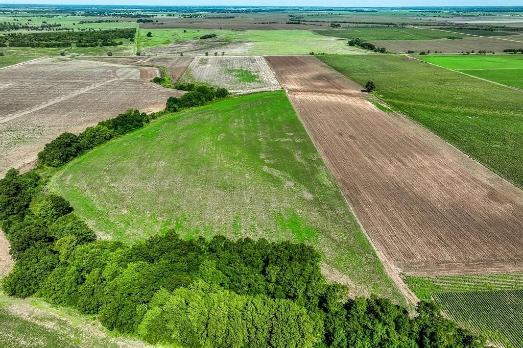 42.4 Acres of Agricultural Land for Sale in Snook, Texas