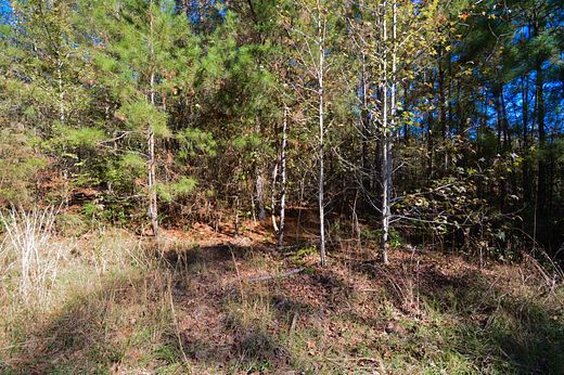 64 Acres of Recreational Land for Sale in San Augustine, Texas