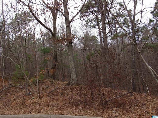 0.84 Acres of Land for Sale in Anniston, Alabama