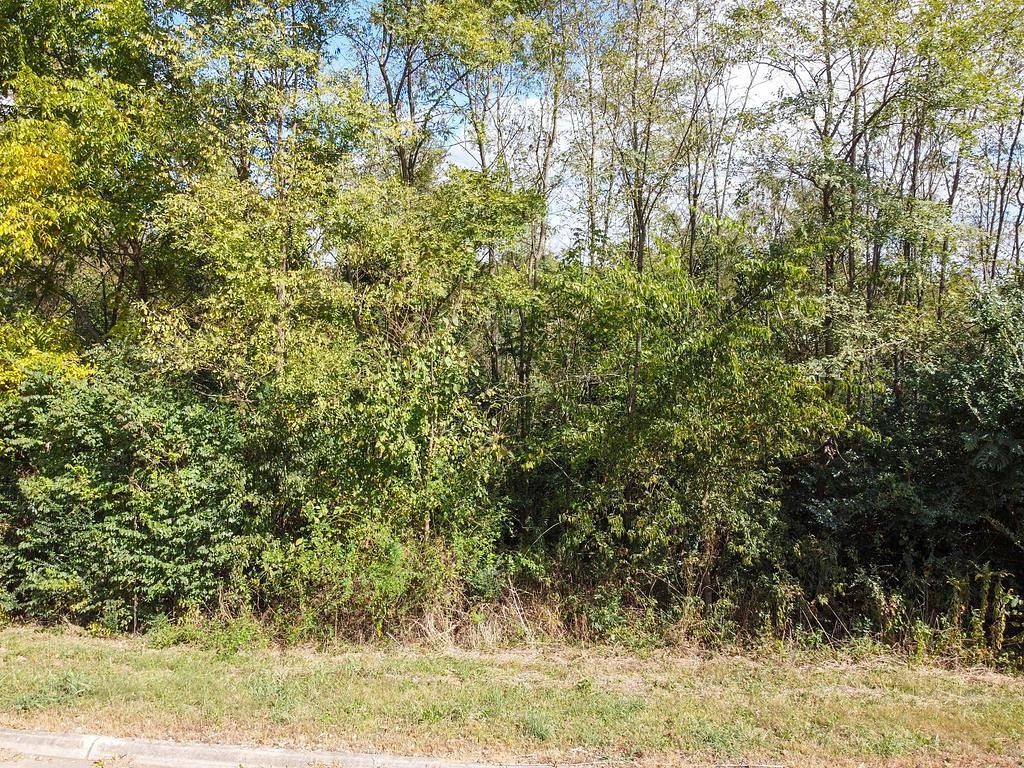 0.5 Acres of Residential Land for Sale in Sweetwater, Tennessee