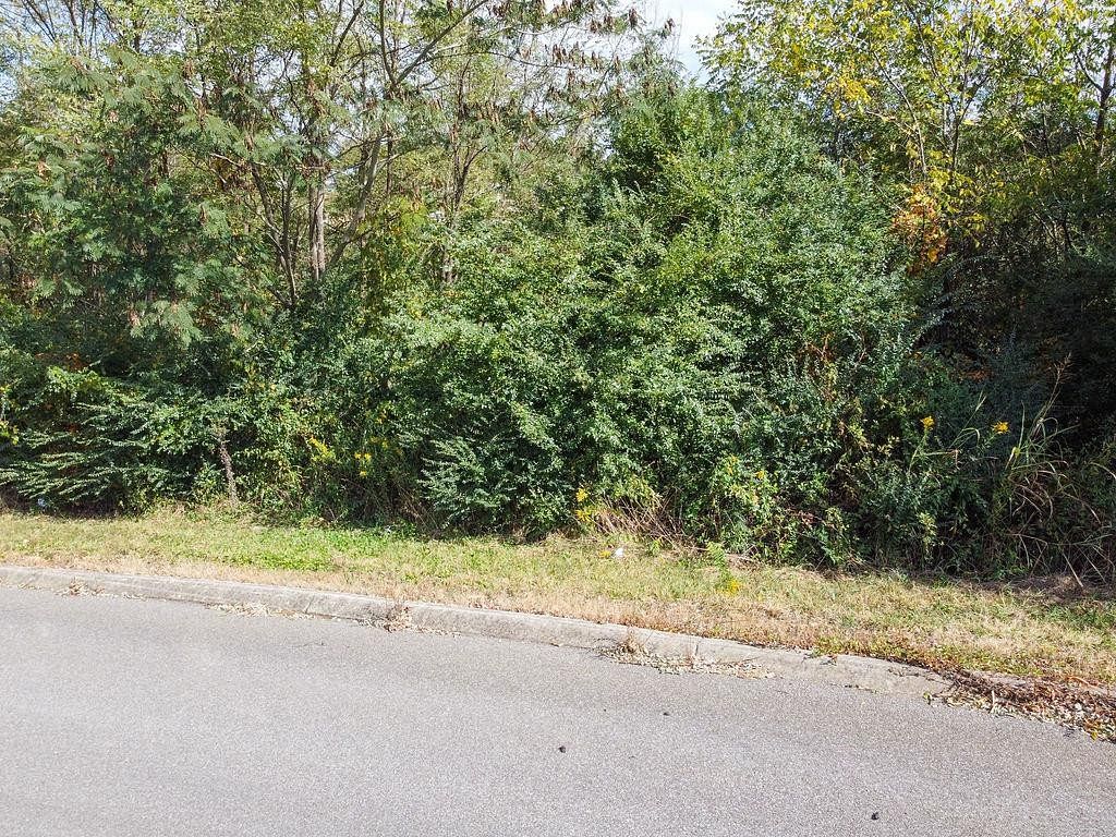 0.41 Acres of Residential Land for Sale in Sweetwater, Tennessee