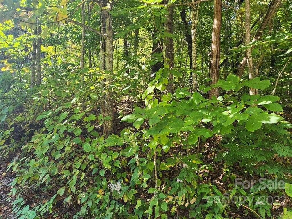 1.15 Acres of Residential Land for Sale in Waynesville, North Carolina