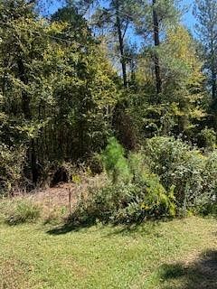 1.3 Acres of Residential Land for Sale in Martinez, Georgia