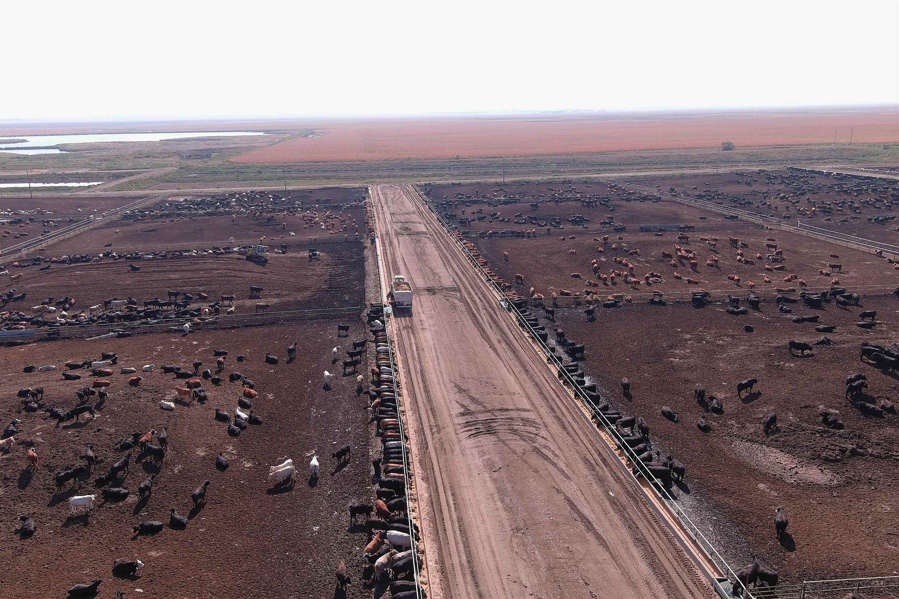 249 Acres of Agricultural Land for Sale in Onida, South Dakota LandSearch