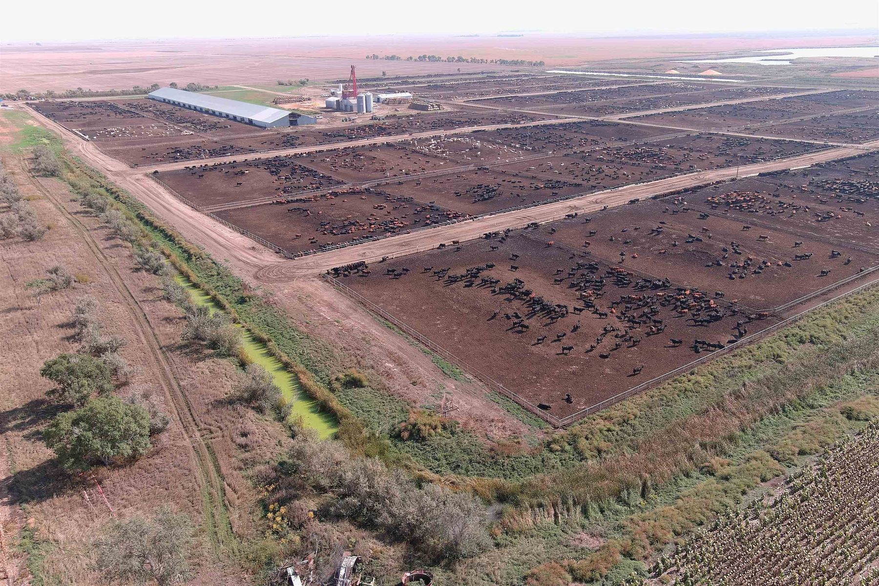 249-acres-of-agricultural-land-for-sale-in-onida-south-dakota-landsearch