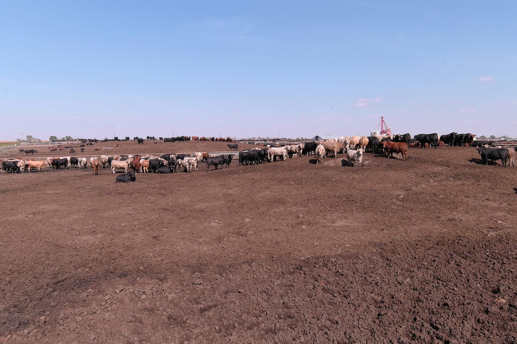 249 Acres of Agricultural Land for Sale in Onida, South Dakota LandSearch