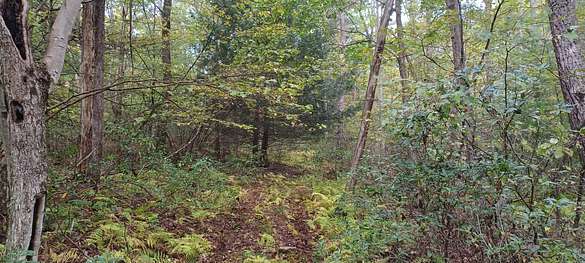 180 Acres of Recreational Land for Sale in Renovo, Pennsylvania