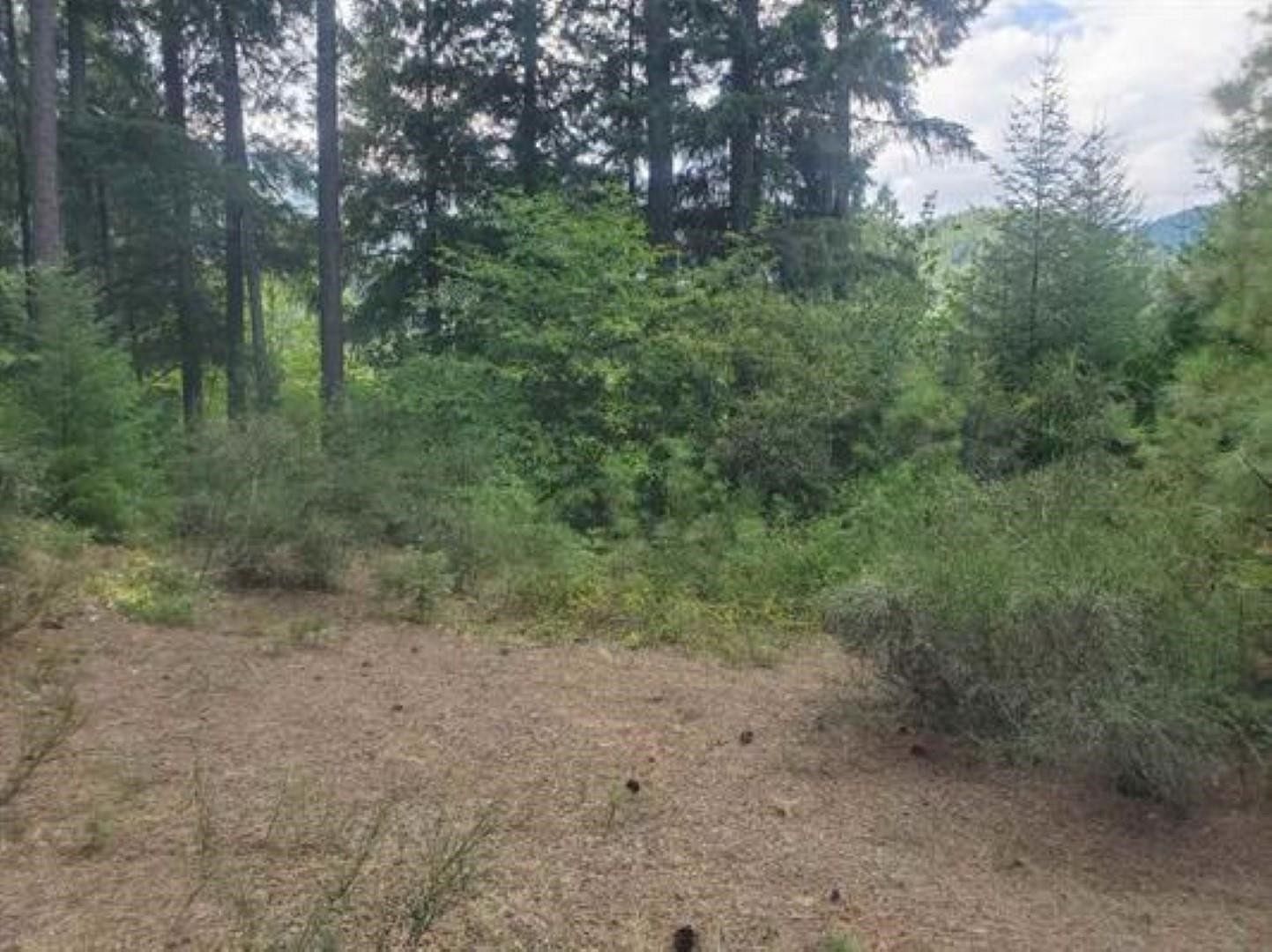 0.95 Acres of Residential Land for Sale in Dunsmuir, California