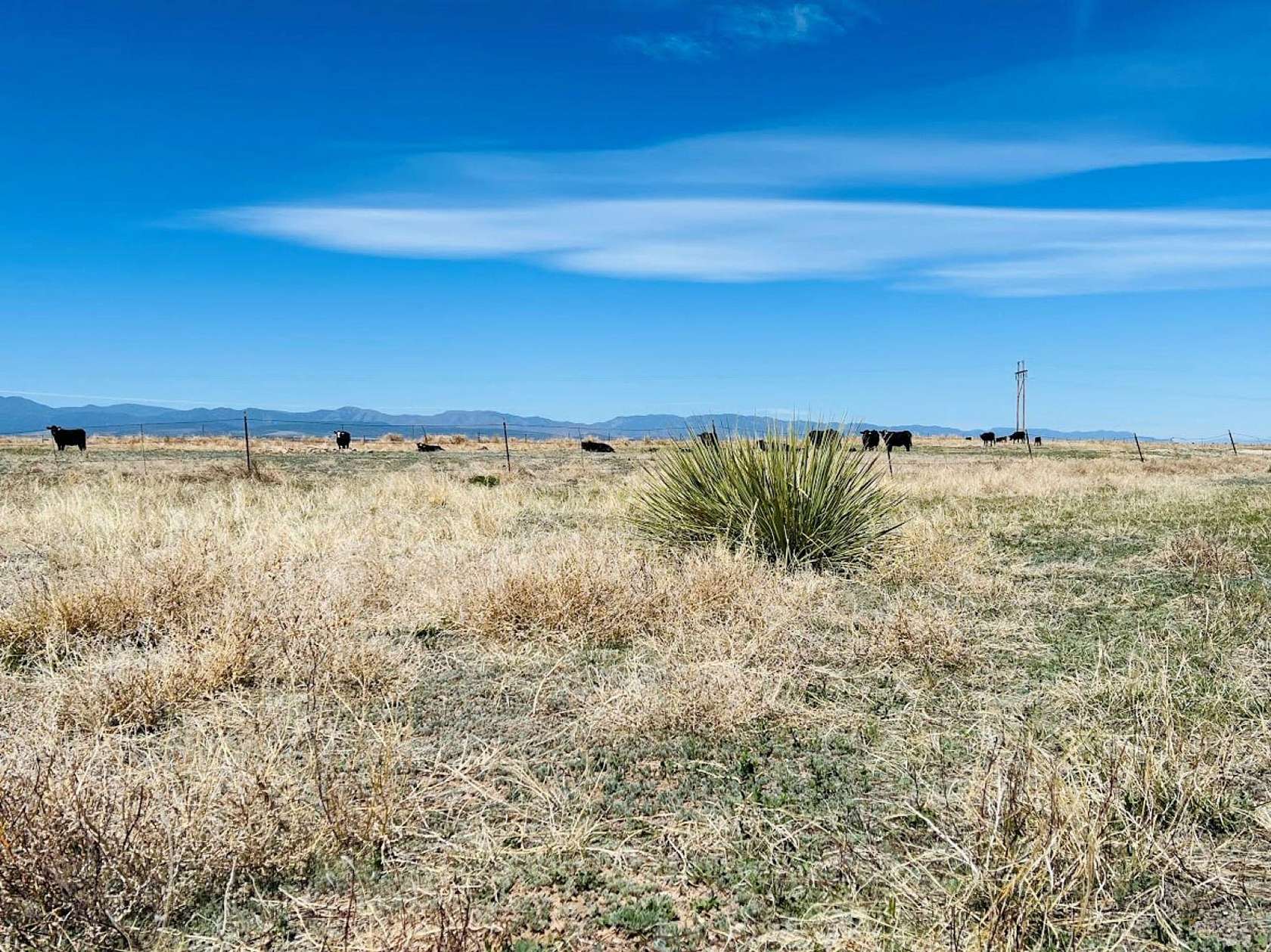 40 Acres of Recreational Land & Farm for Sale in Pueblo, Colorado