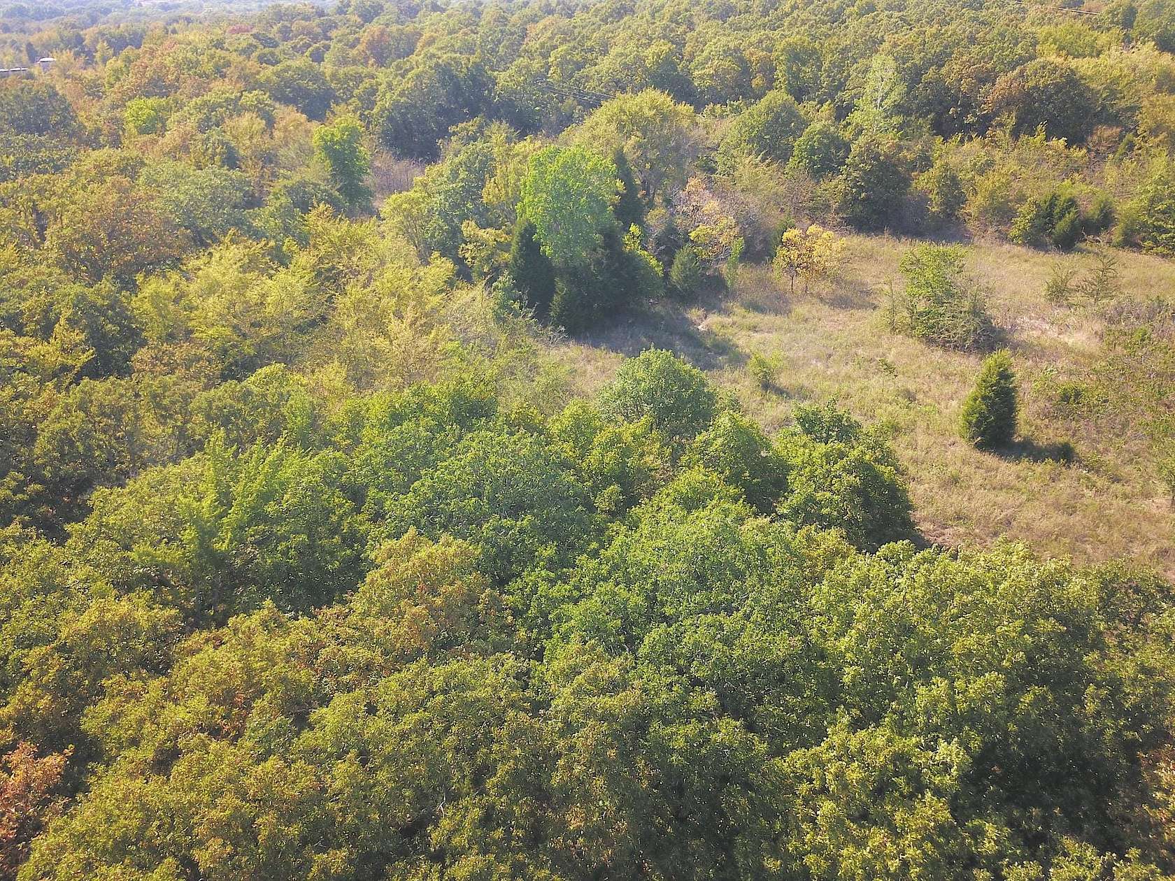 40 Acres of Recreational Land & Farm for Sale in Seminole, Oklahoma