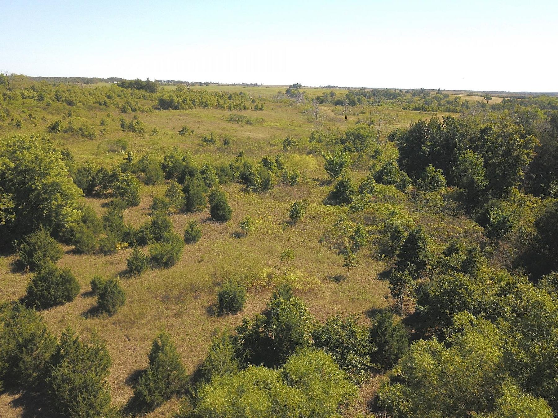51 Acres of Recreational Land & Farm for Sale in Jennings, Oklahoma