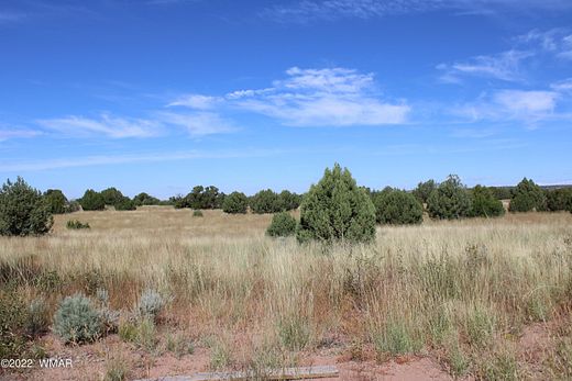 39.4 Acres of Recreational Land & Farm for Sale in Concho, Arizona