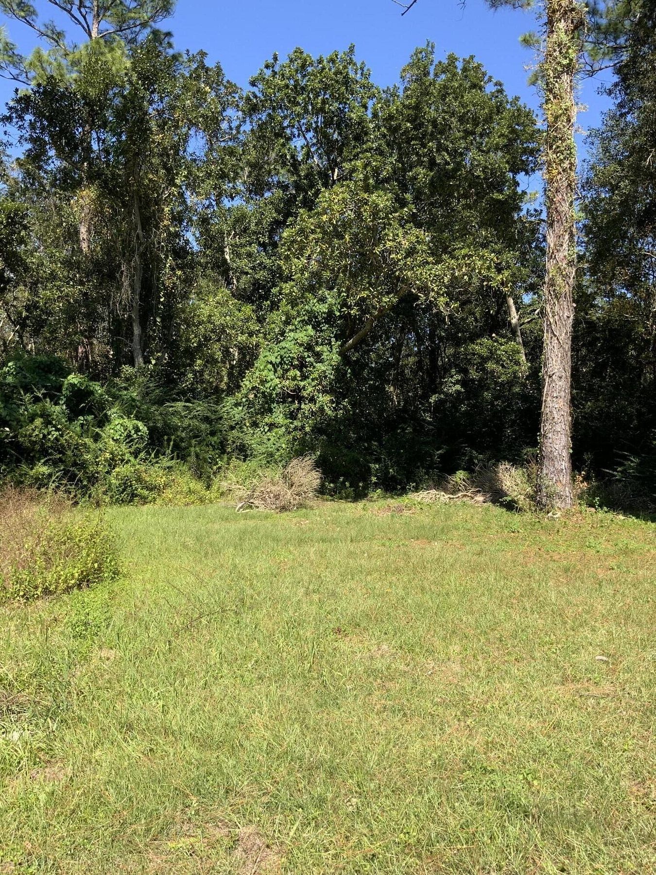 0.22 Acres of Residential Land for Sale in Pensacola, Florida