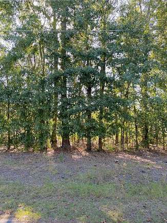 0.3 Acres of Residential Land for Sale in Vidalia, Georgia