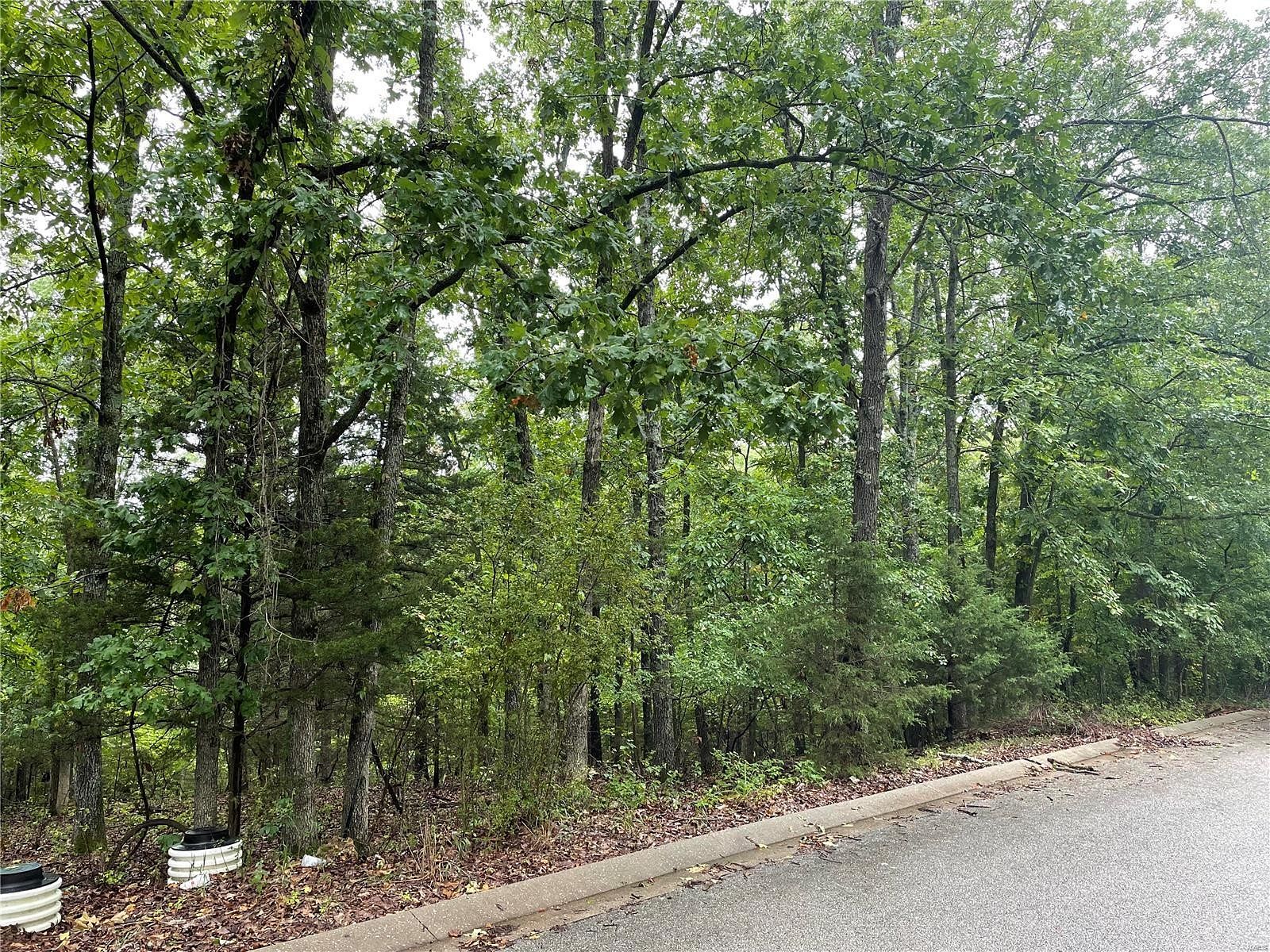 0.17 Acres of Residential Land for Sale in Waynesville, Missouri