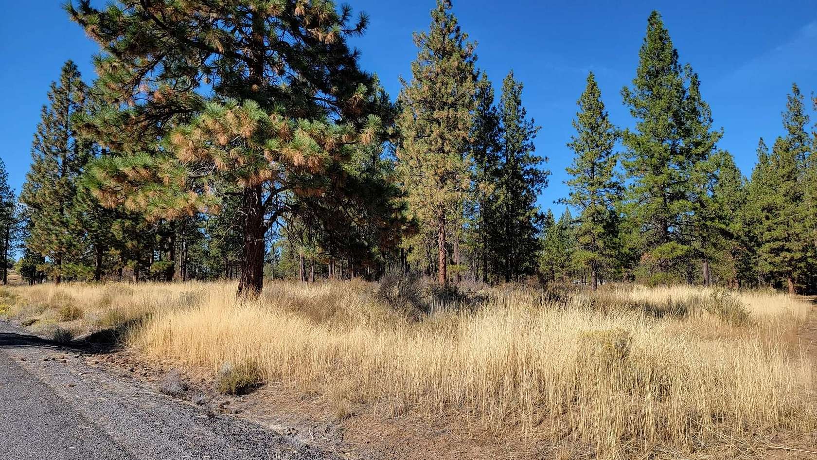 2.2 Acres of Residential Land for Sale in Chiloquin, Oregon