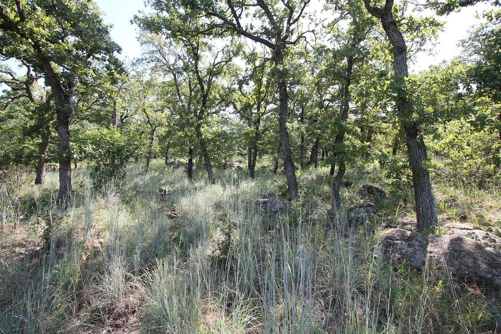 1 Acre of Residential Land for Sale in Chico, Texas