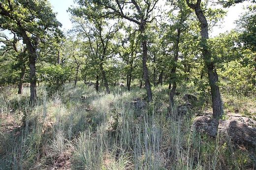 1.013 Acres of Land for Sale in Chico, Texas