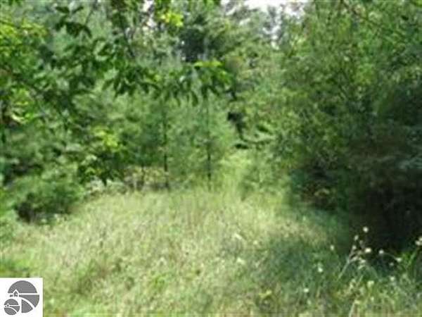 17.4 Acres of Land for Sale in Tawas City, Michigan