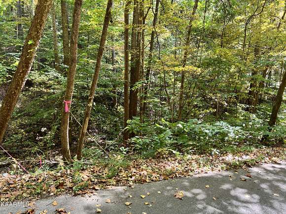 11.8 Acres of Land for Sale in Mohawk, Tennessee