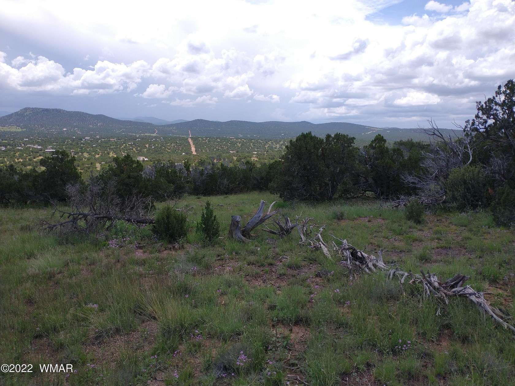 1 Acre of Residential Land for Sale in Concho, Arizona