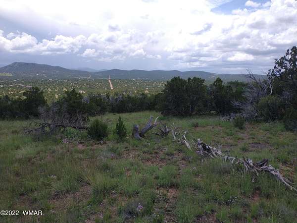 1 Acre of Residential Land for Sale in Concho, Arizona