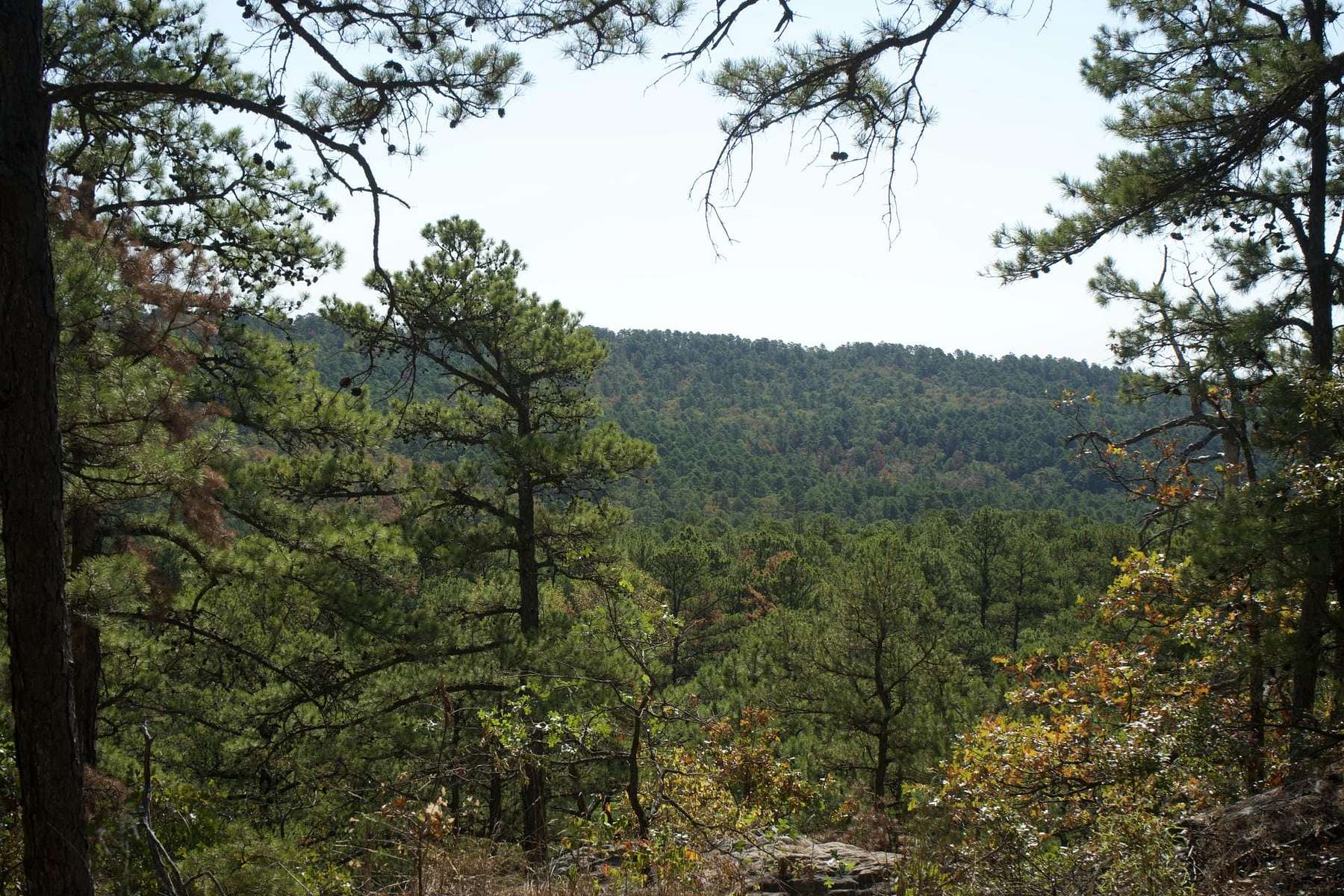 517 Acres of Recreational Land & Farm for Sale in Moyers, Oklahoma