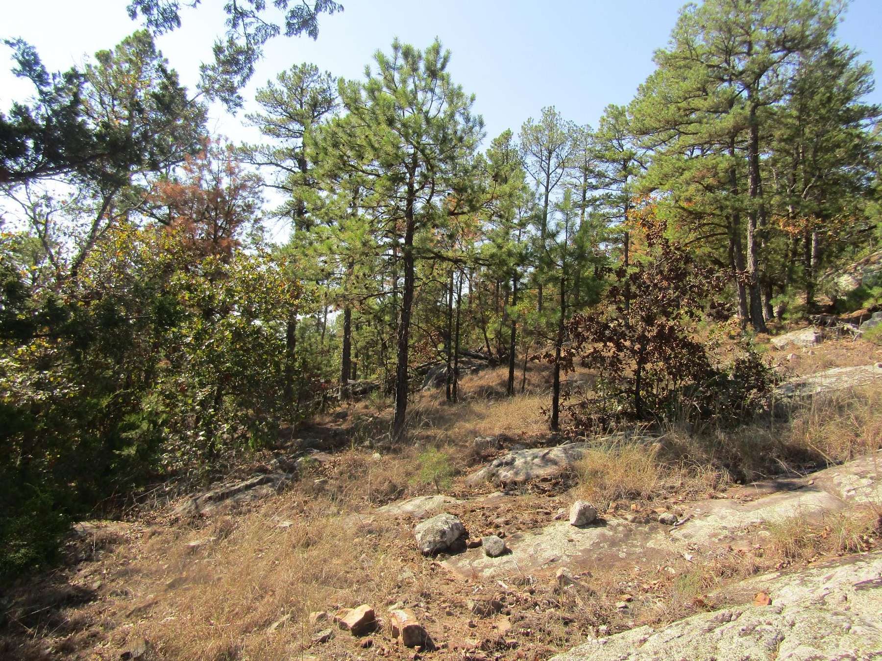 517 Acres of Recreational Land & Farm for Sale in Moyers, Oklahoma